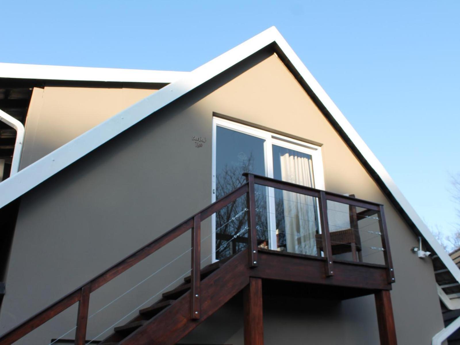 Wild Tree Lodge Benoni Rom bilde
